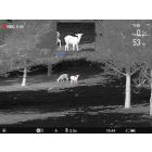 Pulsar Telos LRF XP50 Hőkamera Keresőtávcső