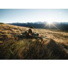 SWAROVSKI dS 5-25x52 P L 4A-I céltávcső